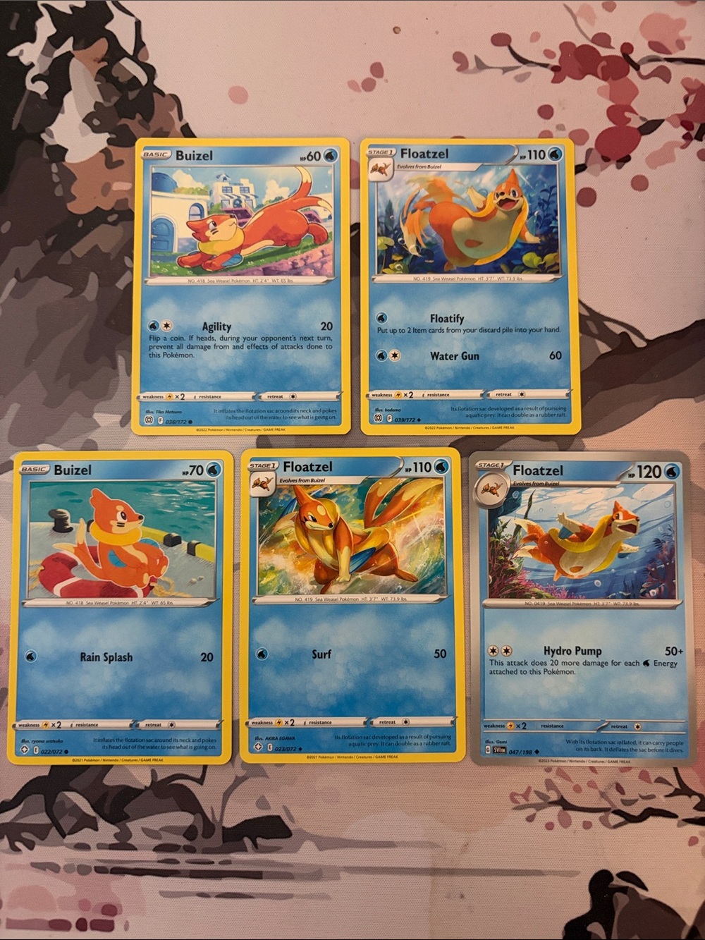 Buizel & Floatzel Evolution Lot | 5 Pokémon Cards | ✨5/$25✨